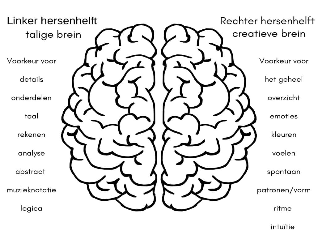 Het doel van reflexen integreren